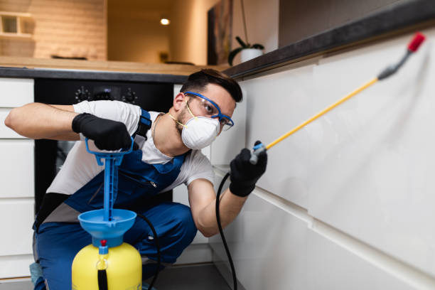 Best Affordable Pest Control Services  in Okawvle, IL