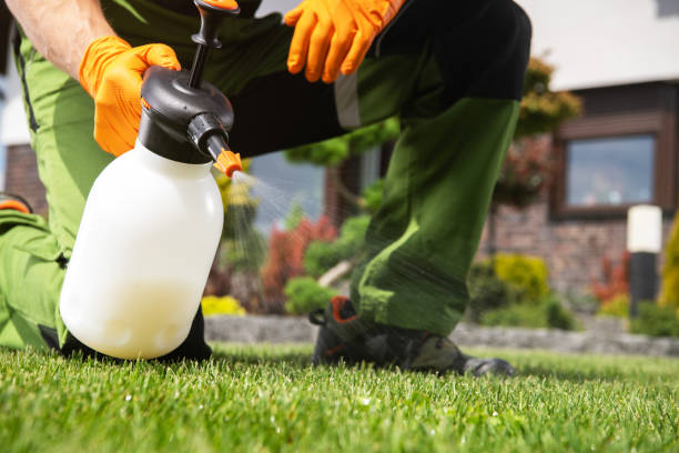  Okawvle, IL Pest Control Pros