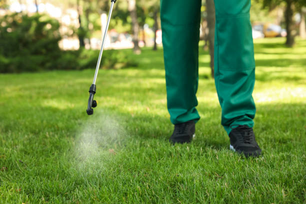 Best Best Pest Control Companies  in Okawvle, IL
