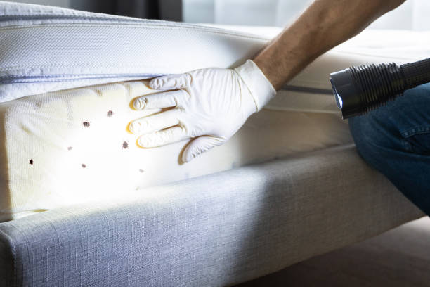 Best Pest Inspection Near Me  in Okawvle, IL