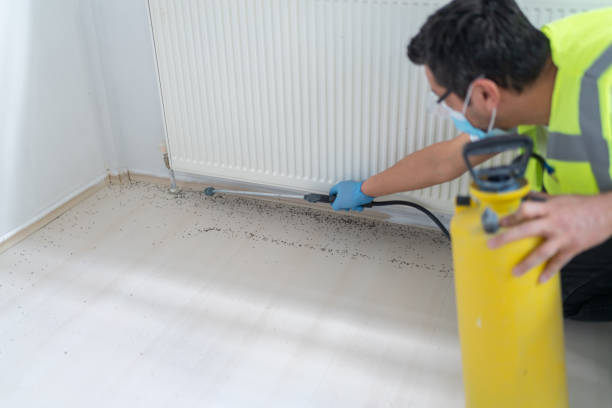 Professional Pest Control in Okawville, IL